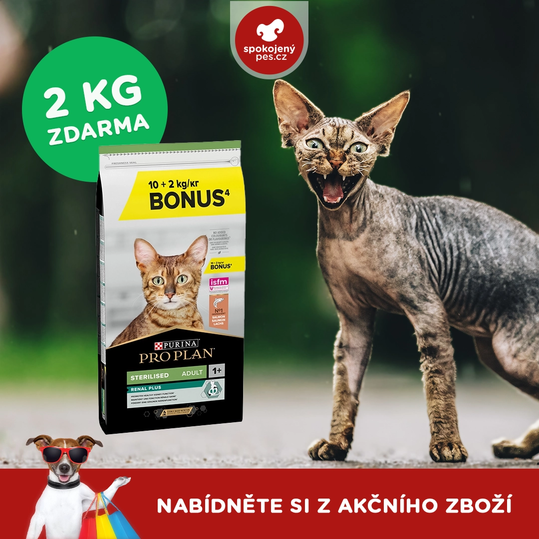 kocka 00014.webp